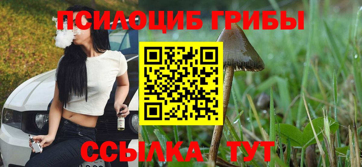 Дальнереченск  Галлюциногенные грибы Psilocybine cubensis  Вход с VPN 